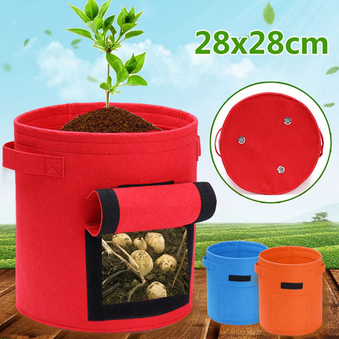 Home & Garden